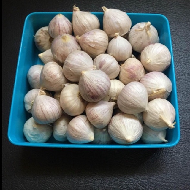 Bawang putih tunggal / Bawang Tunggal / Bawang Lanang 100 gram