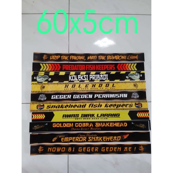 sticker anti air lis atas akuarium stiker iwak galak | Predator Fish  channa