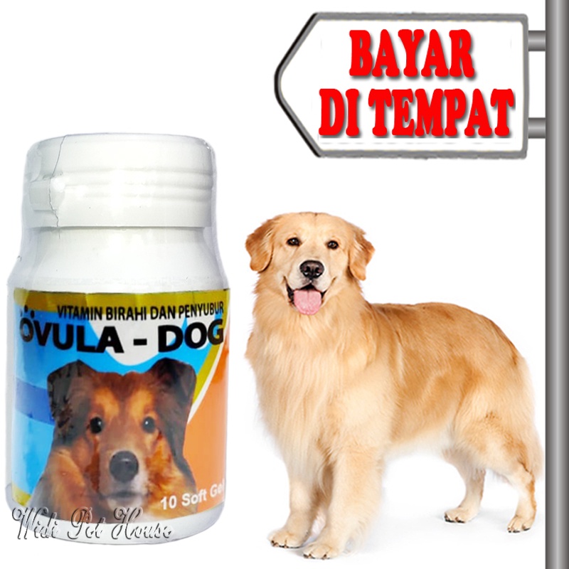 Vitamin Penyubur Kawin Anjing Obat Birahi Ovula Dog Softgel