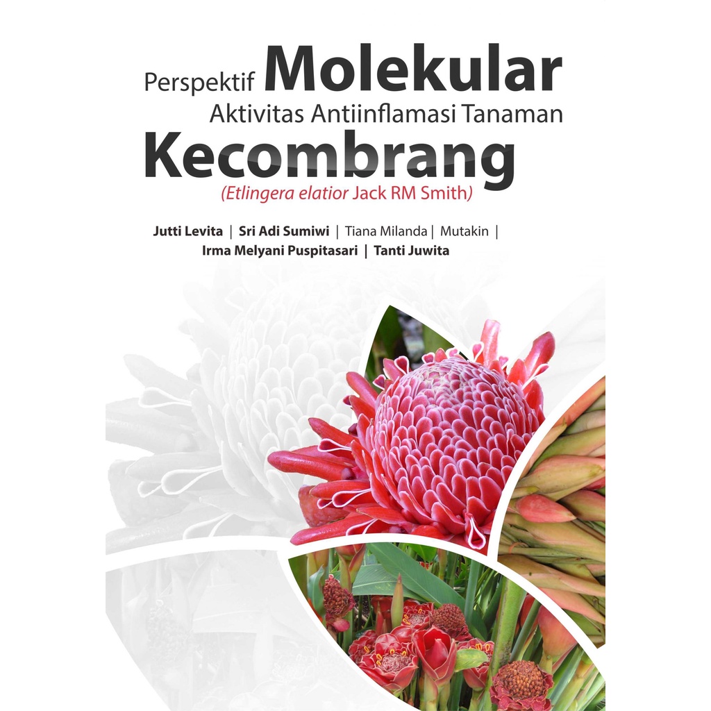 Jual Buku Perspektif Molekular Aktivitas Antiinflamasi Tanaman (Etlingera Elatior