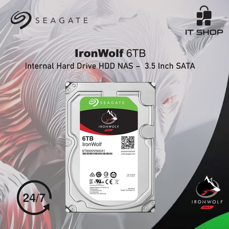 Hard Disk Seagate Ironwolf NAS 6TB MFI