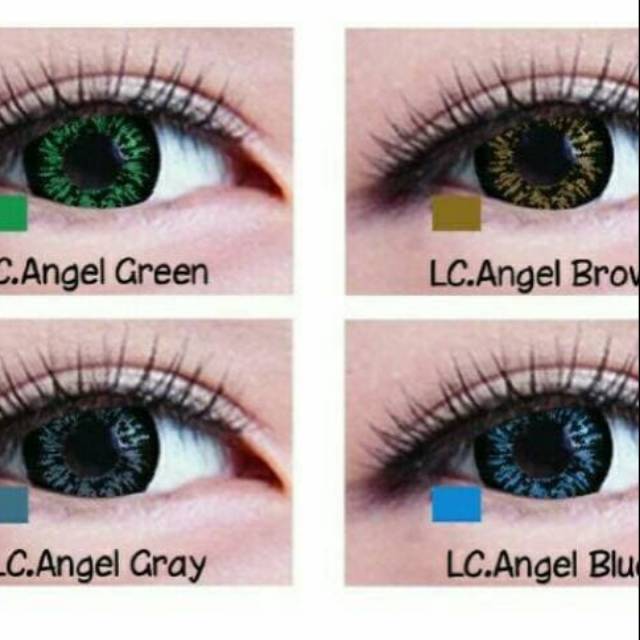 Aschosme  SOFTLENS LIVING COLOR  ANGEL