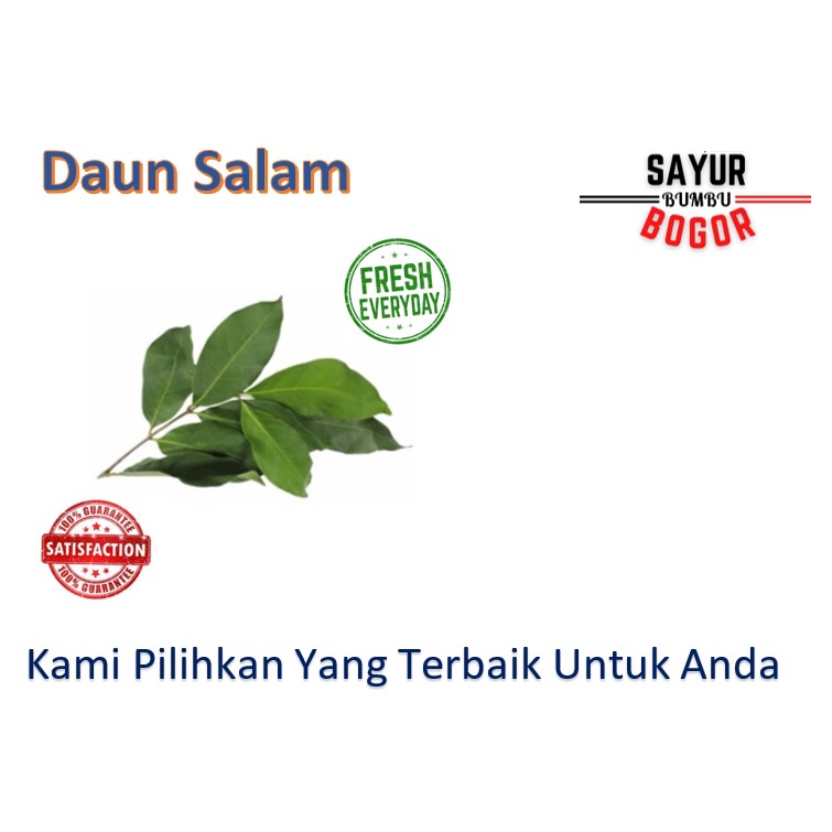 

Daun Salam / Salam Sayur / Salam Segar / Sayuran Segar