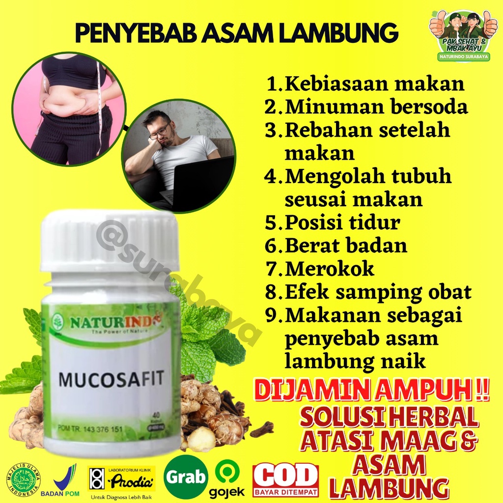 Obat Sakit Asam Lambung Maag Begah Sendawa Obat Herbal Sakit Maag Obat Asam Lambung Maag Kronis Obat Lambung Ampuh BPOM MUI Herbal MUCOSAFIT Naturindo Surabaya Obat asam lambung GERD naik maag gerd kronis tungkak lambung sakit perut mual muntah Herbal-4