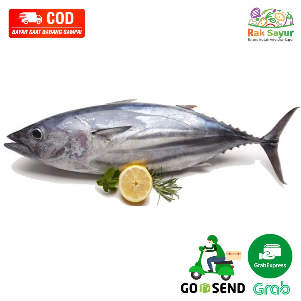 Jual Ikan Tuna Sisik Potong Segar 500gr Ikan Segar Rak Sayur Padang