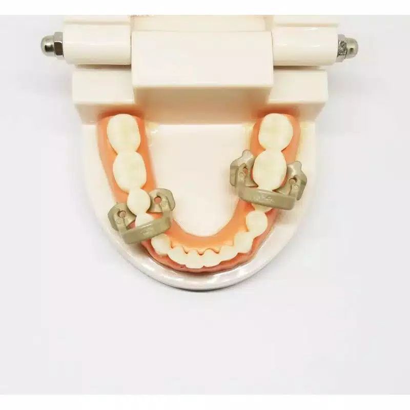 f3.5 - 1pcs Dental Rubber dam clamp klem