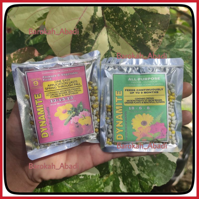 Dynamite 18-6-8 hijau 13-13-13 merah pupuk premium tanaman hias 20 gr