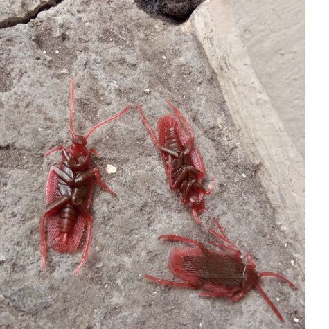 kecoak mainan cockroach dekor pesta foto prop prank toy