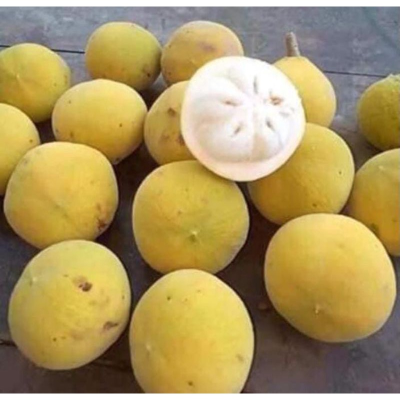 

PROMO COD TERMURAH BUAH KECAPI