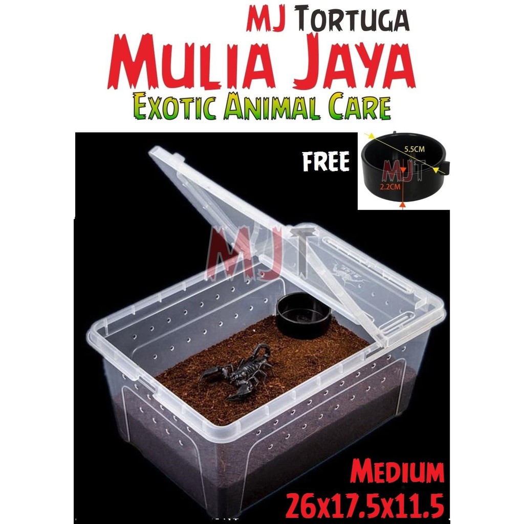 Kandang Tarantula Enclosure Tarantula Box Reptil M 26x17.5x11.5cm Iguana Kura Gecko BD Nomoy H4