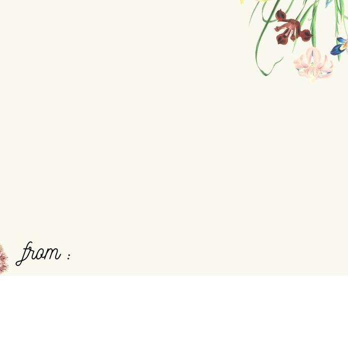 ◄ Kado Pernikahan mukena free box A / Hampers Mukenah Untuk Kado Pernikahan Ulang Tahun cewek Wisuda