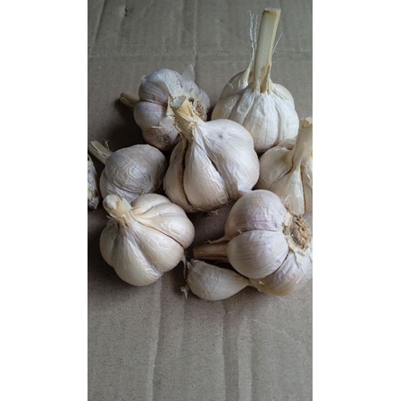 

BAWANG PUTIH KATING 250/500GR//BAWANG KATING BAWANG BUMBU BAWANG WANGI