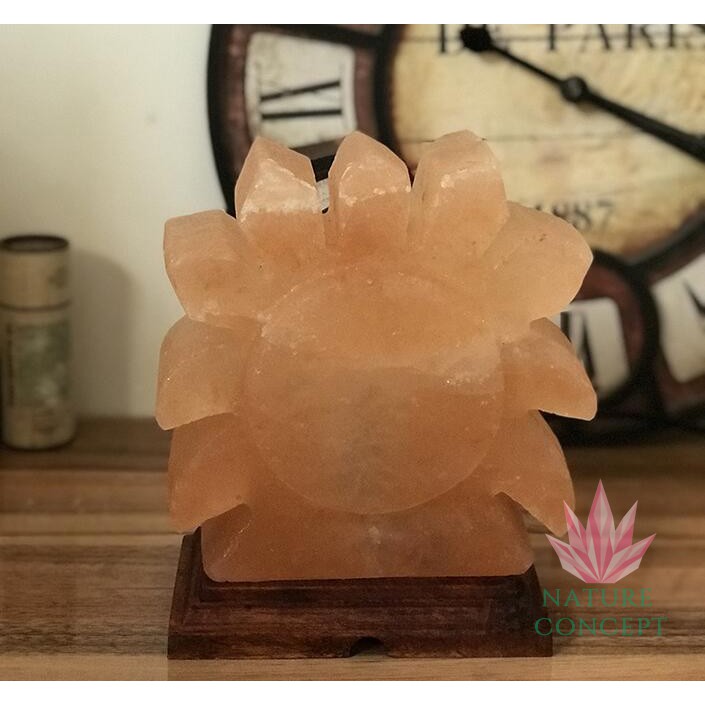 Himalayan Salt Lamp Lampu Kristal Garam Himalaya SUN Shape (RARE Item)