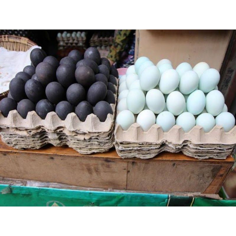

Telur Asin Brebes