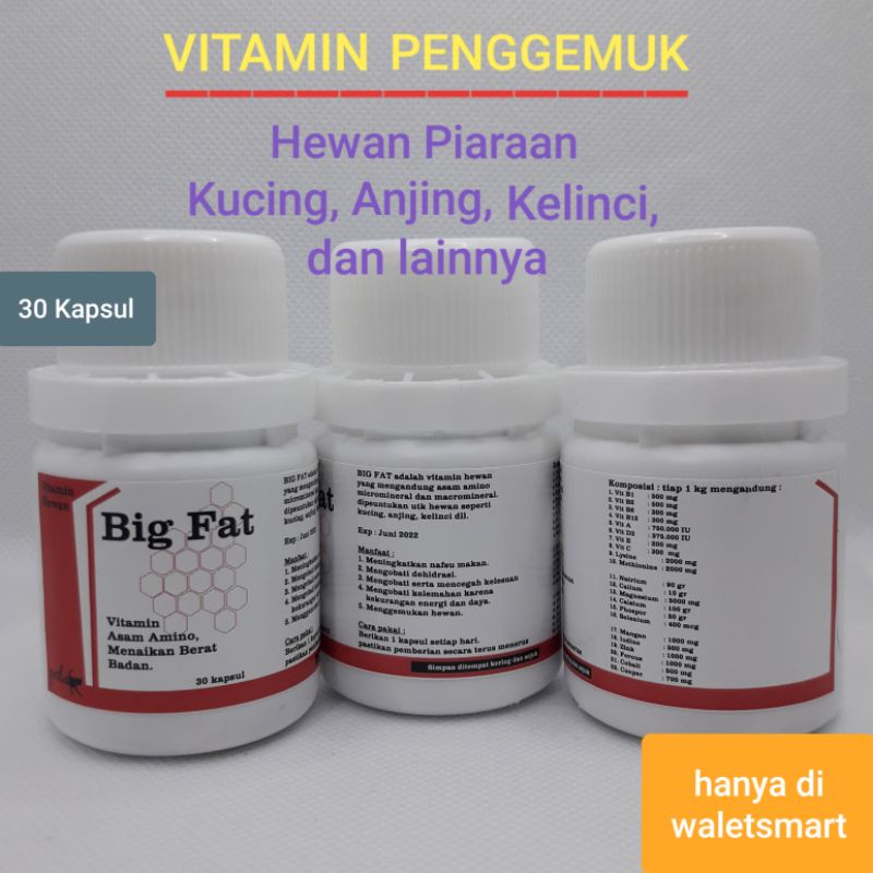 BIG FAT Vitamin penggemuk terbaik untuk Kucing Anjing Kelinci dan hewan lainnya