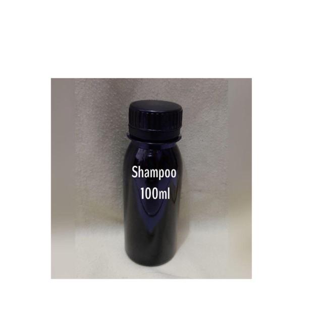 LOreal Professionnel Serie Expert Silver Shampoo / Conditioner 300ml | Purple Shampoo-Shampo 100ml REPACK