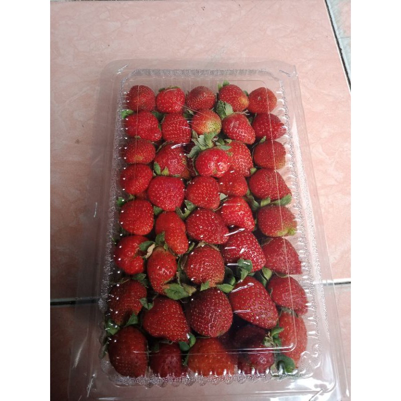

strawberry fresh lokal 500gram ukuran kecil