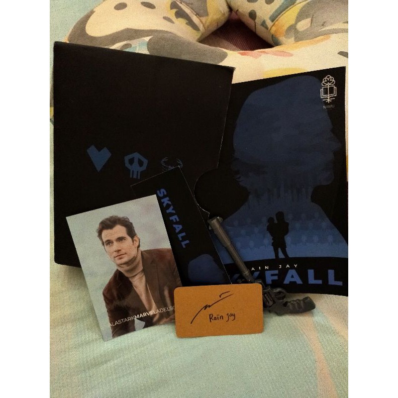 Novel Skyfall by Rain Jay