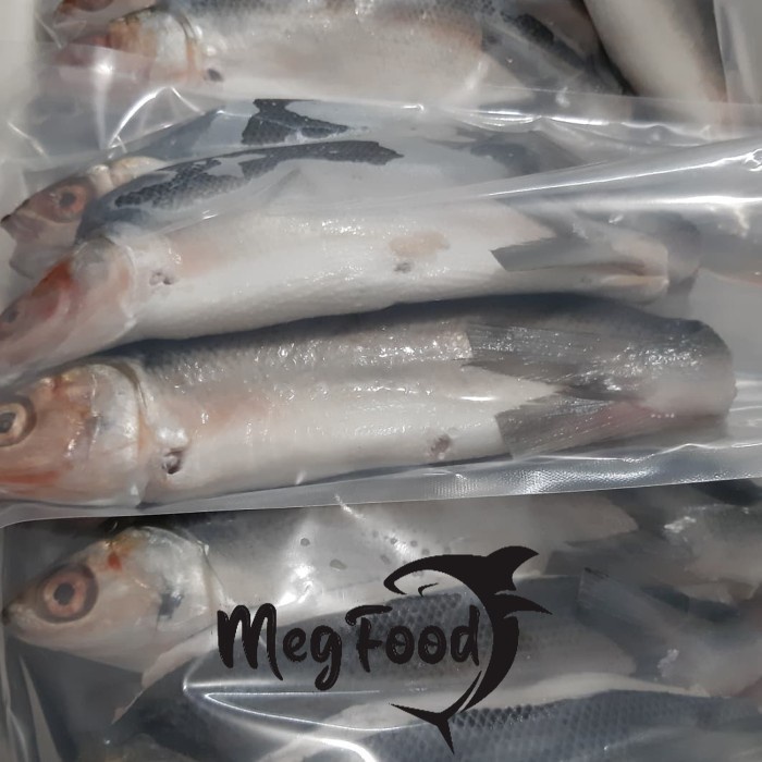 

BANDENG CABUT DURI +/- 1 kilo isi 3-4