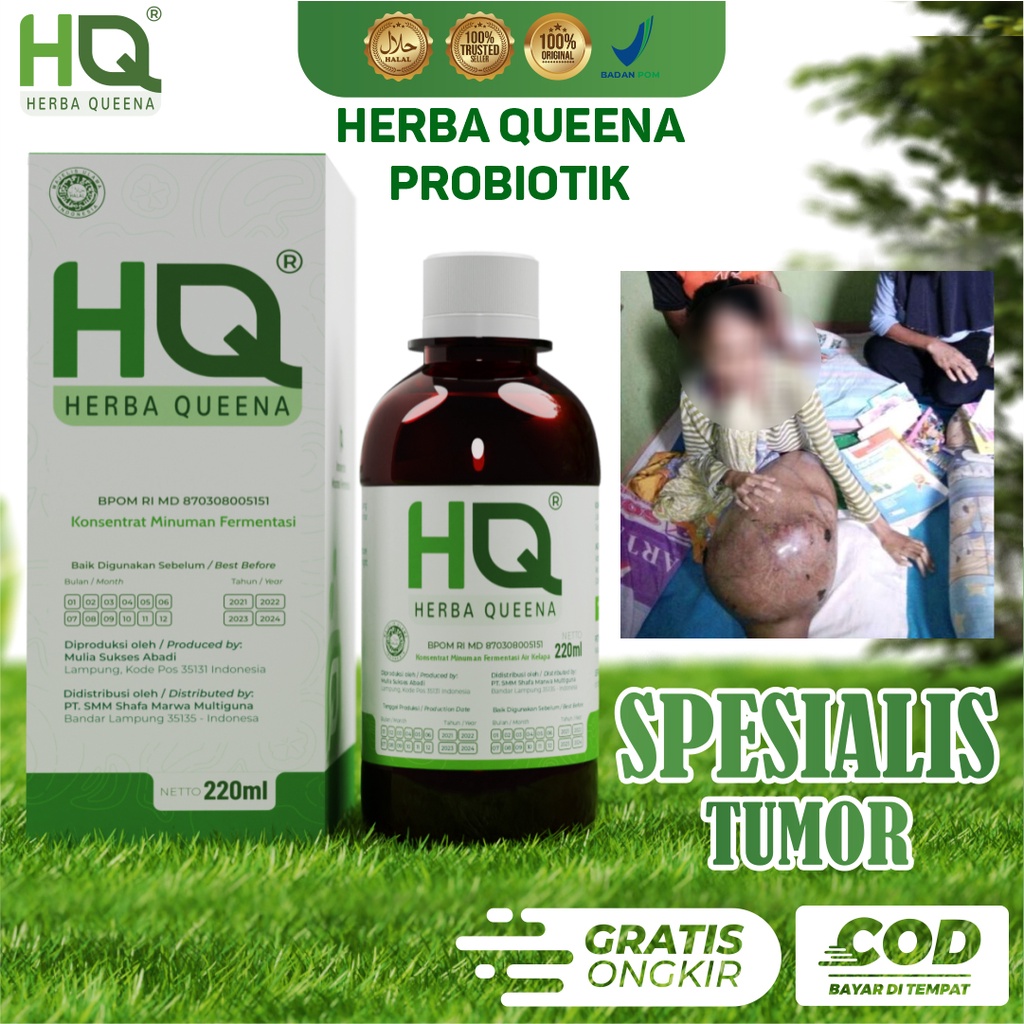 Obat Tumor Benjolan Payudara Uci Sekelan Tumor Serviks Rahim Otak Herbal Alami HQ HERBA QUEENA PROBI
