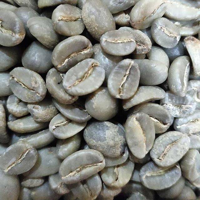 

Kopi Greenbean Arabika Fullwashed