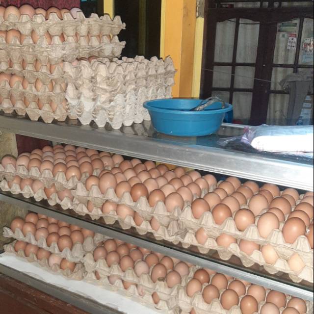 

Telur Ayam Negri