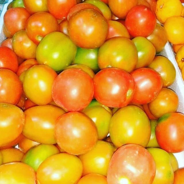 

Tomat buah bandung 1000/500gr