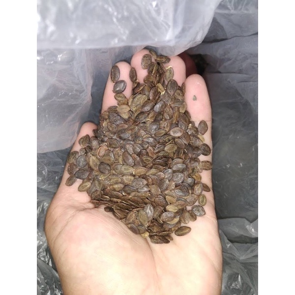 

Kaliandra Merah Full Rendam 100 gram