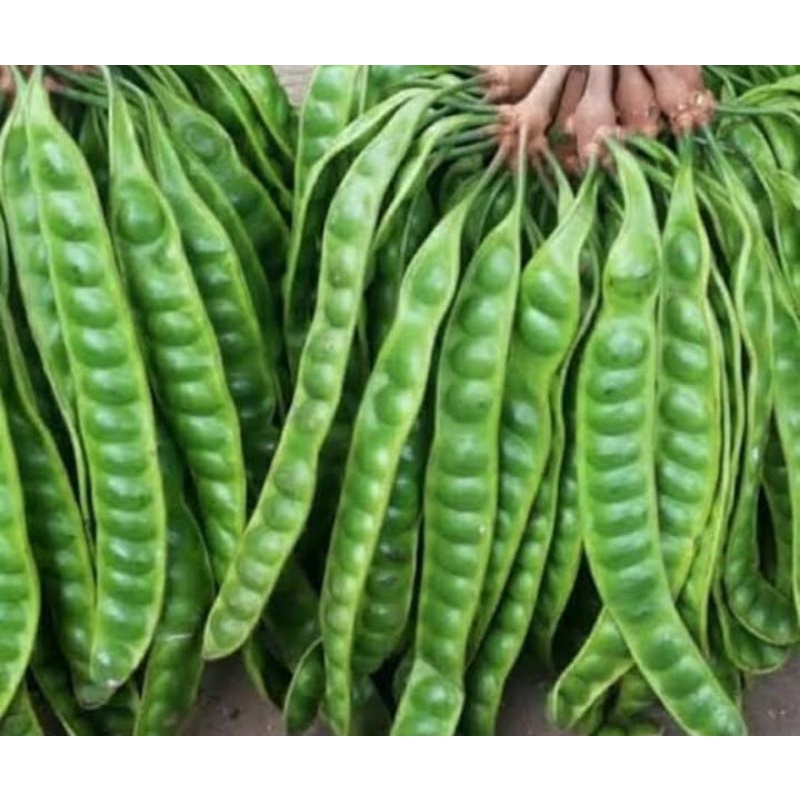 

Petai