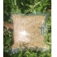 

ADAS MANIS FENNEL SEEDS 1000 GRAM