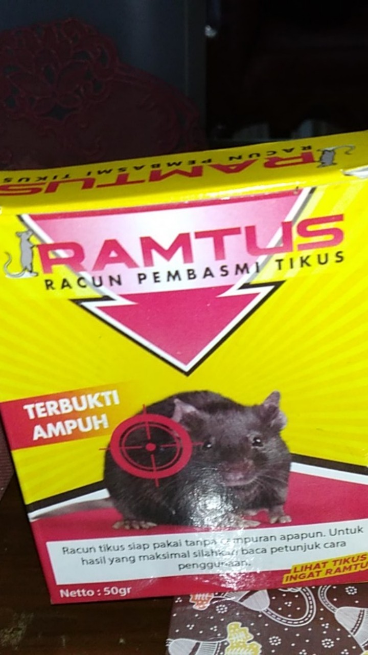 Ramtus Racun Tikus Ampuh Mati Kering Tidak Bau Pembasmi Curut Wirog Mencit Dirumah Di Mobil 6 Pack