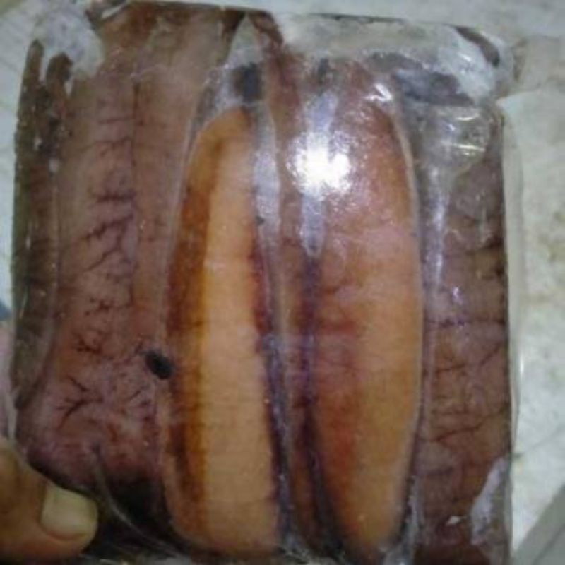 

Telor Ikan