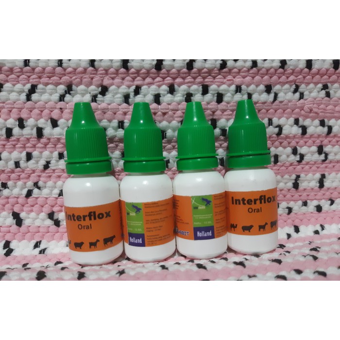 Promo Interflox Oral obat flu kelinci