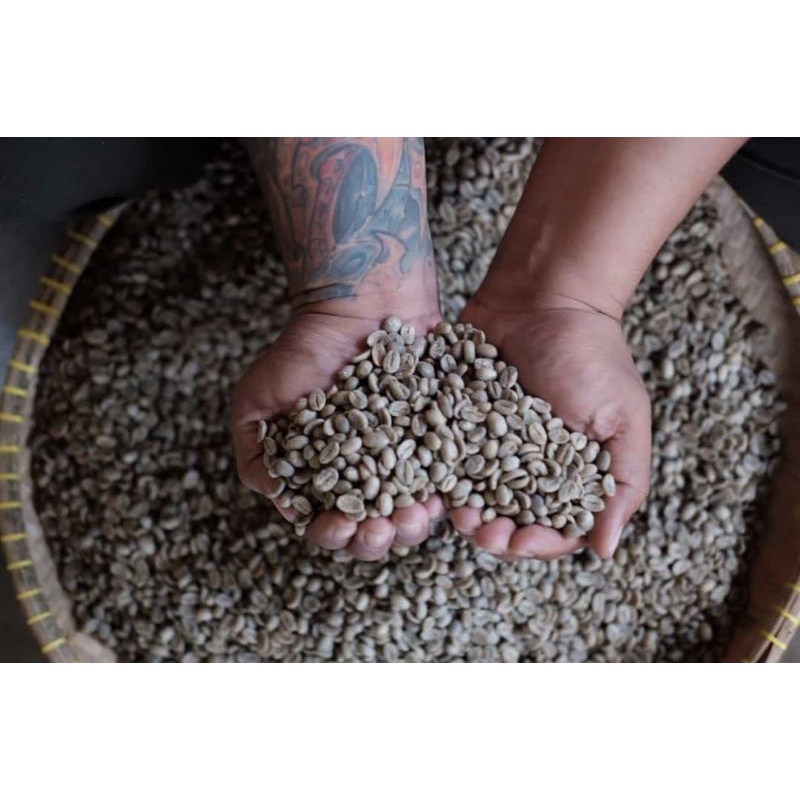 

Green beans arabica | kopi arabika | kopi garut | asli garut | sunda hejo coffee