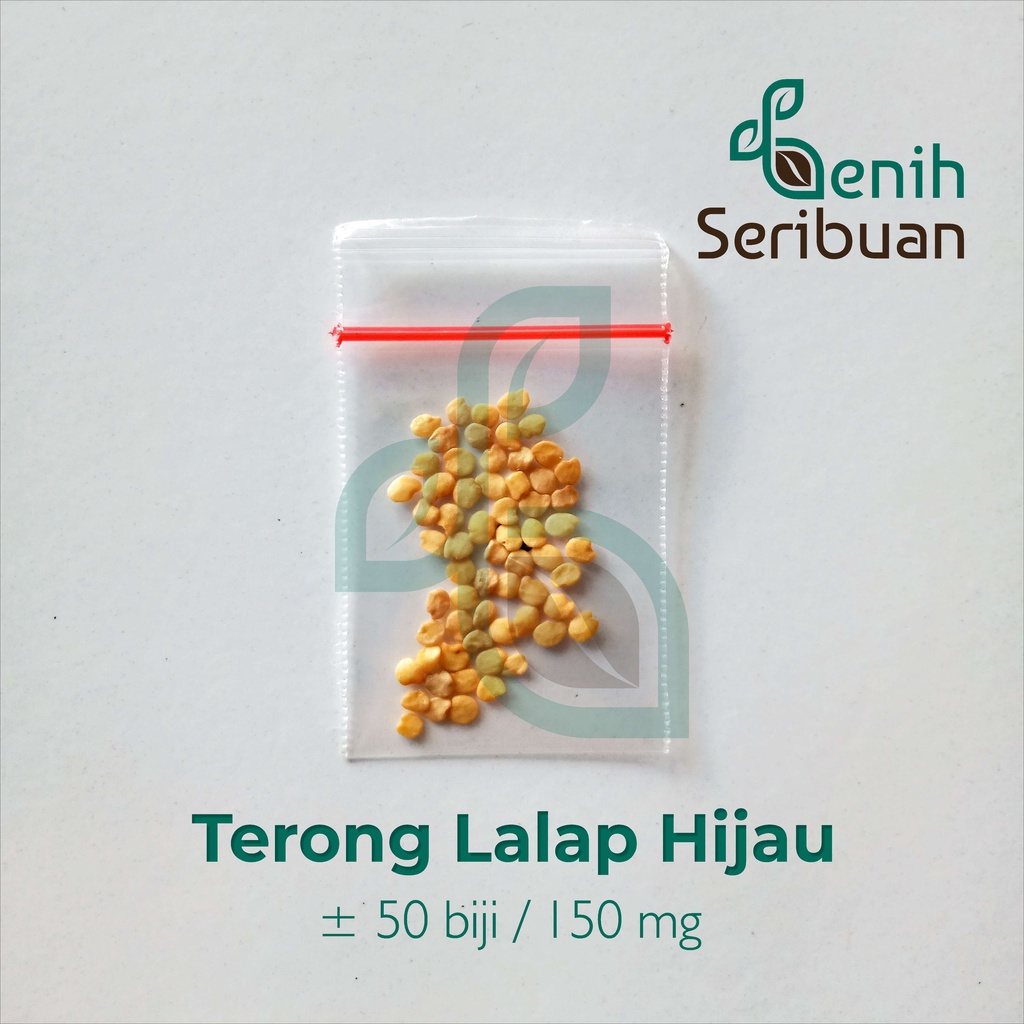 50 Benih Terong Lalap Hijau Kenari Bulat Sayuran Unggul Berkualitas - Bibit Tanaman Sayur Seribuan-3