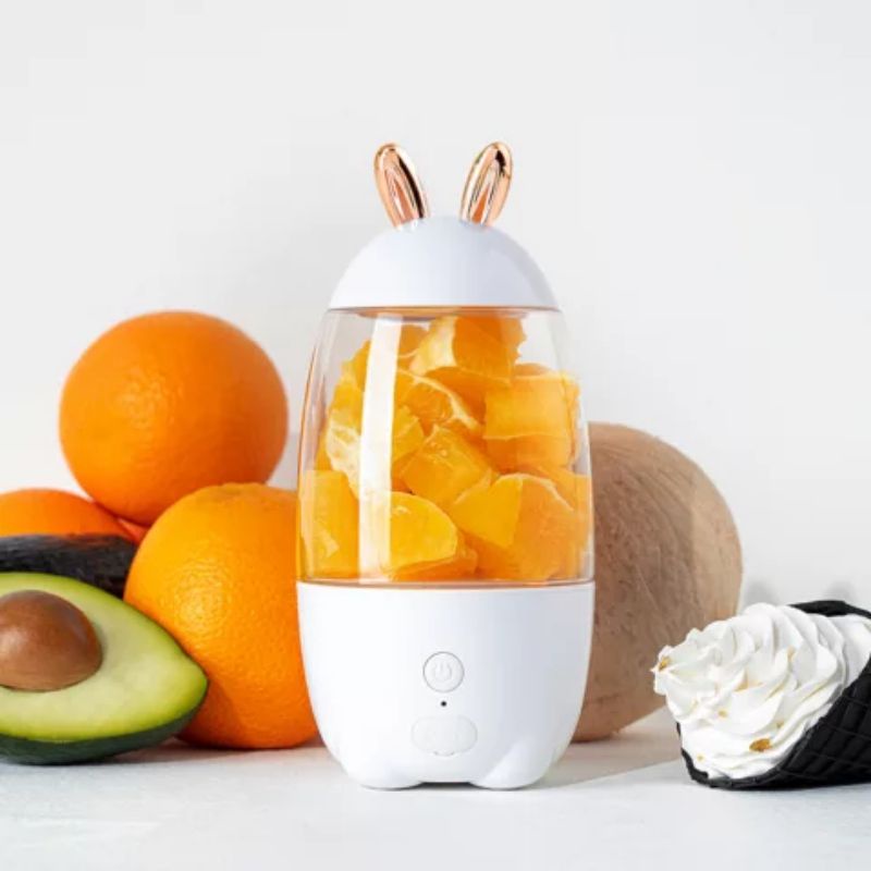 Portable Fruit Juicer / Portable Blender / Juicer portable /Blender mini