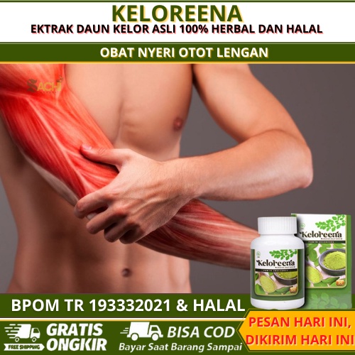 Obat Nyeri Otot Lengan Dan Bahu, Nyeri Otot Lengan Kanan Atas, Obat Herbal Nyeri Lengan, Menghilangk