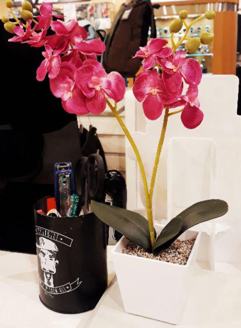 Set Bunga Plastik Anggrek1 Warna Warni Dengan Pot Melamin Putih Hexagonal Besar