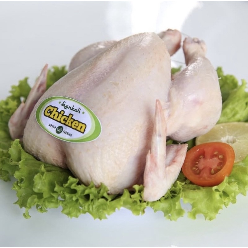 

ayam organik/berkah chicken/ayam utuh/halal/sehat/1000-1100gram/