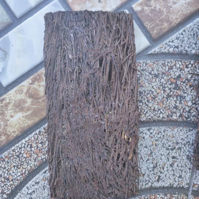 papan media anggrek papan pakis