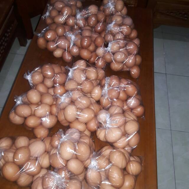 

Telur negri