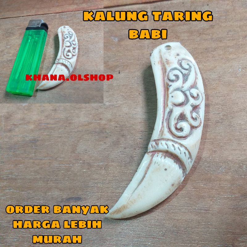 kalung taring babi