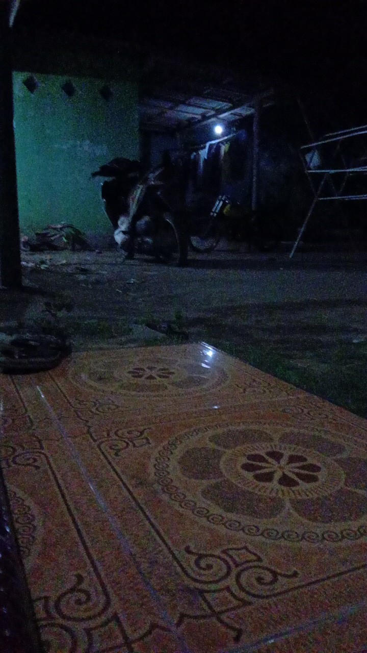 Cetakan Kue Kering Donat Mini Diameter 4cm