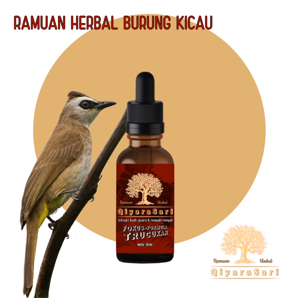 doping burung trucukan qiyara sari 20 ml metabolisme burung trucuk