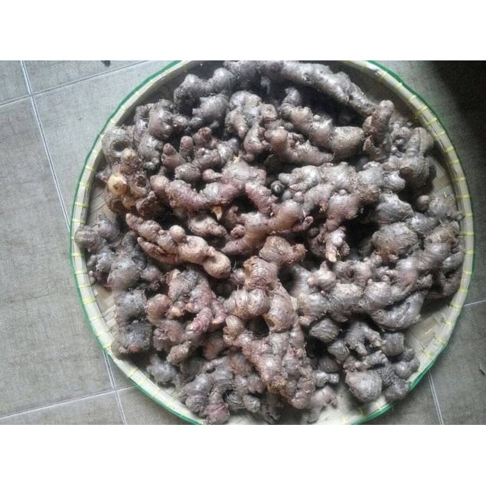 

JAHE MERAH SEGAR FRESH MEDAN BERKUALITAS DAN BERKHASIAT