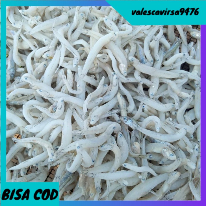 

⭐BISA COD⭐ ikan asin teri Medan kasar toge per 500gr