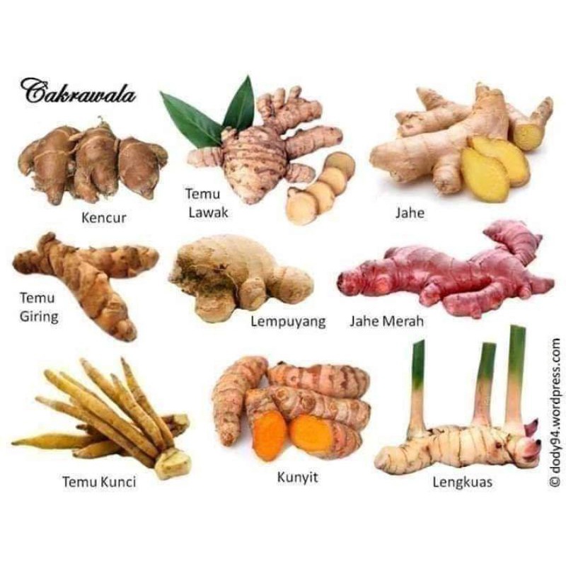 

bumbu dapur ala kampung