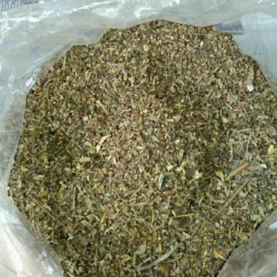 

Daun Meniran Kering Phyllanthus Urinaria