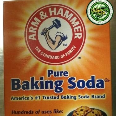 

Arm & hammer hamer pure tepung baking backing soda powder 454 gram USA