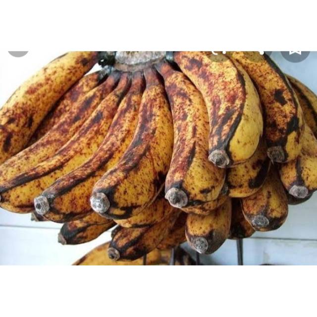 

Pisang raja / 1 sisir kecil